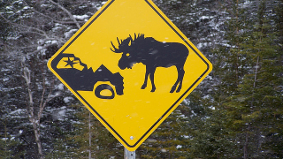 Illustration for article titled The ten weirdest road signs